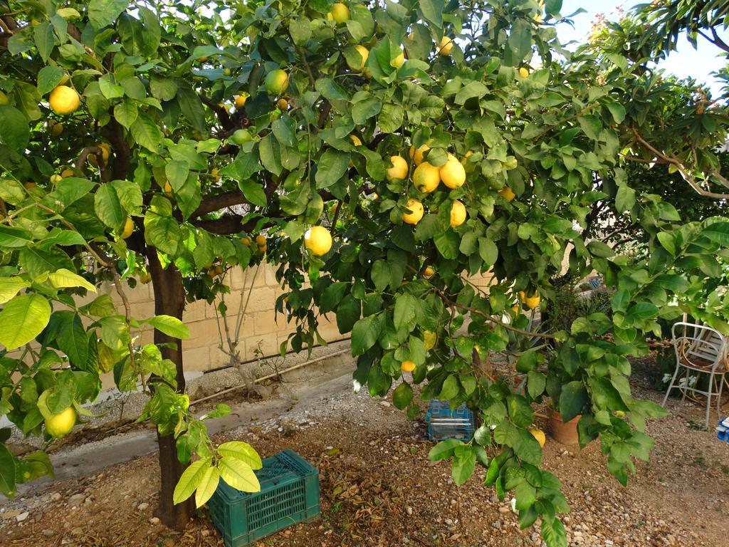 아볼라 Il Giardino Del Corso 아파트 외부 사진